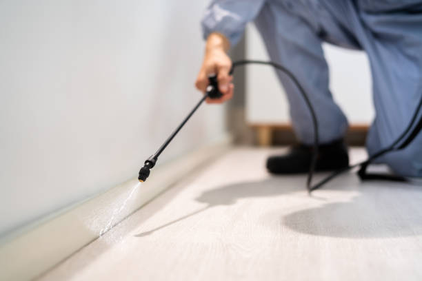 Licensed Termite Control service in Capac, MI - Nex Pest Control