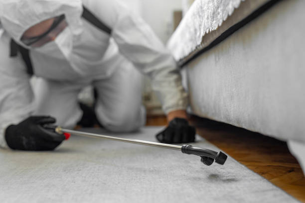 Professional Termite Control technician working in Capac, MI