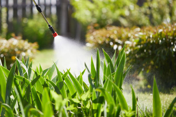 24/7 Emergency Termite Control experts in Capac, MI