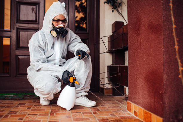 Reliable Termite Control contractor in Capac, MI by Nex Pest Control