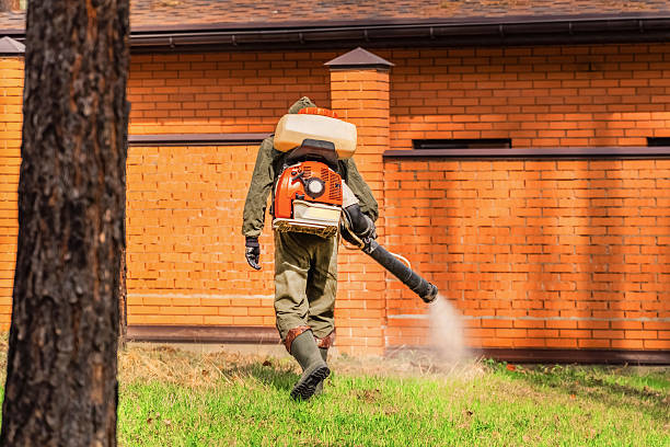 Top rated local Termite Control specialists in Capac, MI